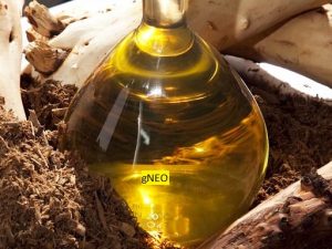 Australian Sandalwood Oil