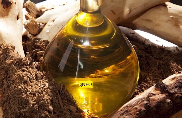 Australian Sandalwood Oil