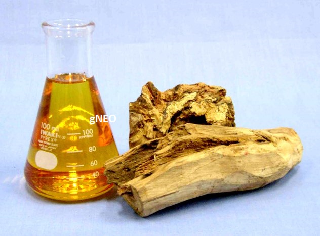 African Sandalwood Oil
