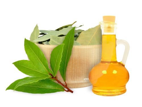 Laurel Leaf Essential Oil