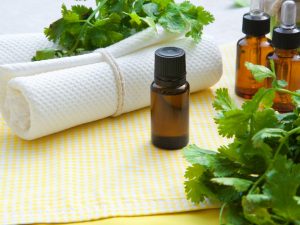 coriander leaf essential oil