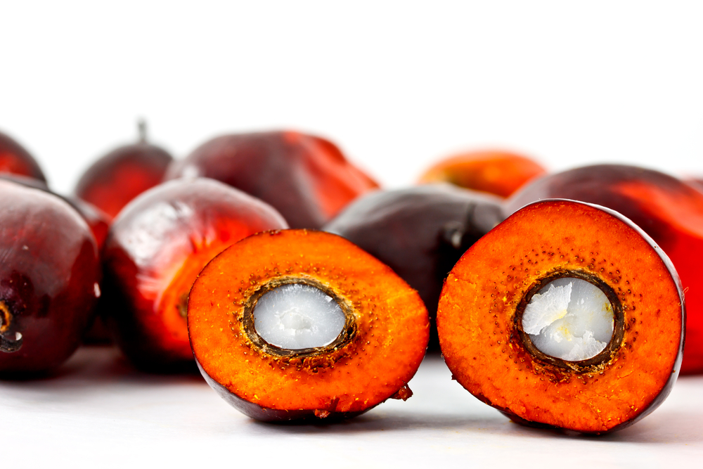 Palm kernel oil RBD