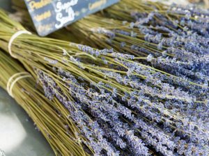 Lavender 40-42 fragrance oil