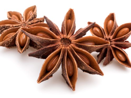 Anise Seed Essential Oil